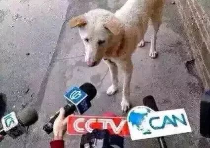 会员营销