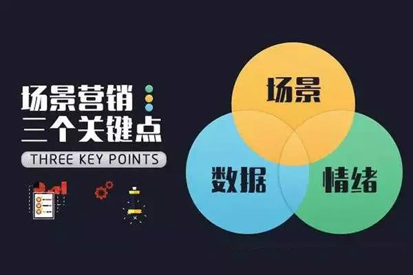 手机APP管理系统